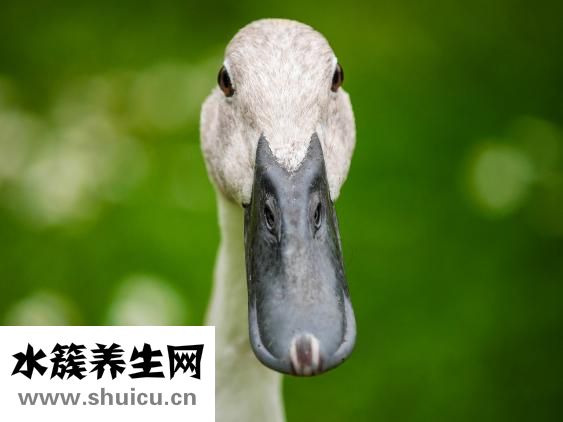中风流涎怎么样治疗
