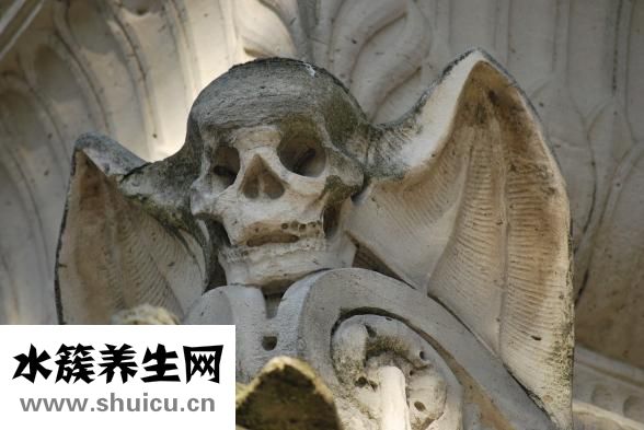 怎么样快速煮排骨粥