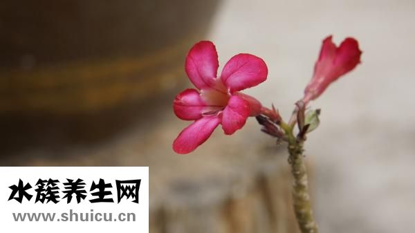 怎么样才能防止怀孕