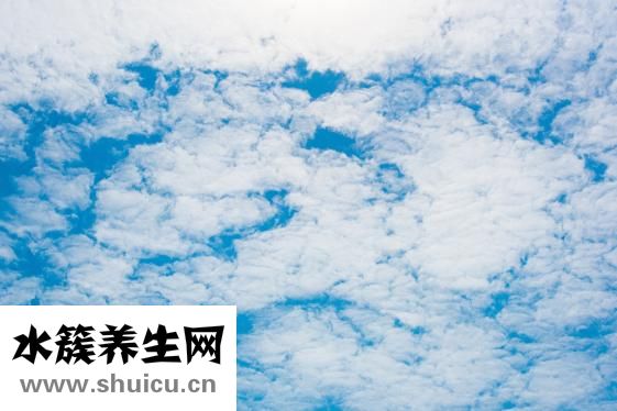白云豆轻身丸怎么样
