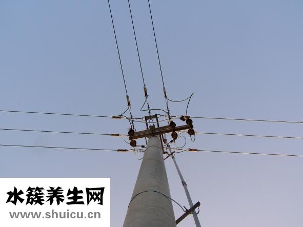 十万个为什么内容
