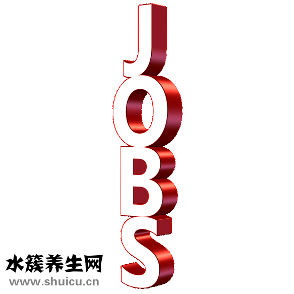 天王表机芯怎么样