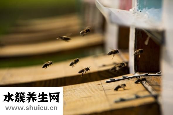 什么屎不臭
