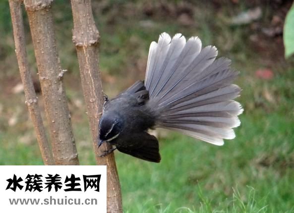 如何办理结婚证