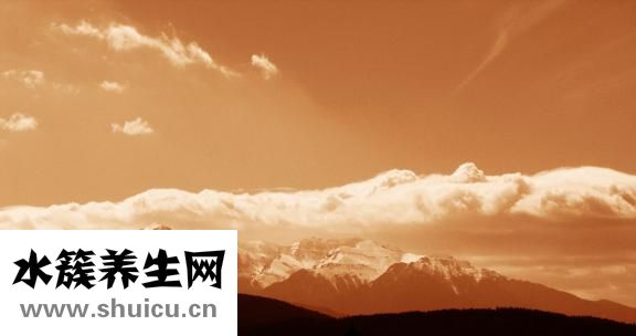 朴槿惠为什么不结婚