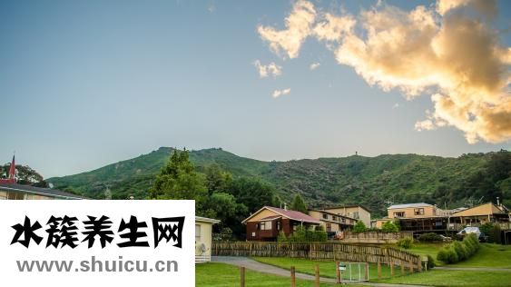 新洲人怎么样