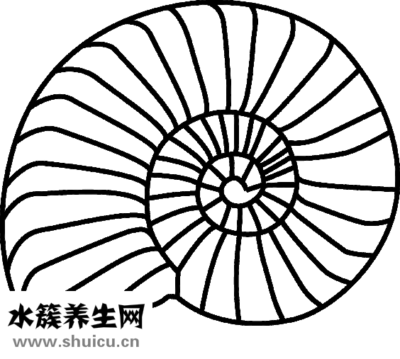 圆脸做什么发型好看
