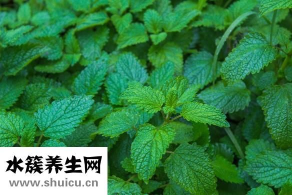 巴奴火锅上班怎么样