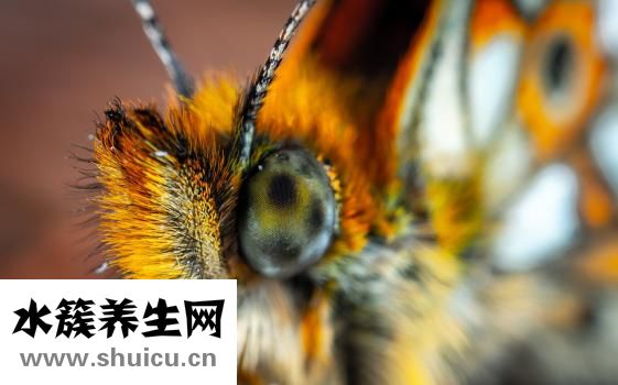 粗心怎么办