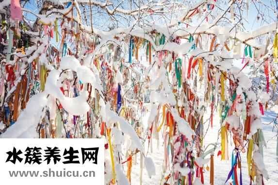 丹尼熊包怎么样
