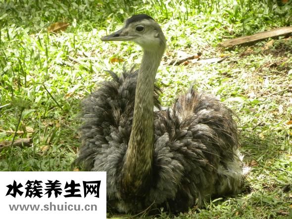 脖子皮肤松弛怎么办