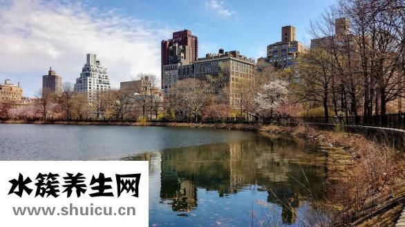 鞍钢怎么样