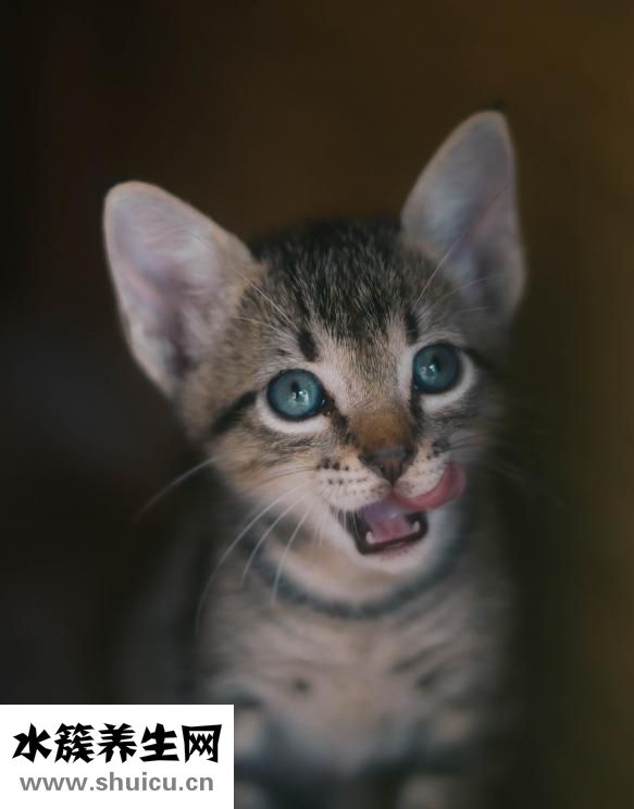 负离子造型梳怎么样