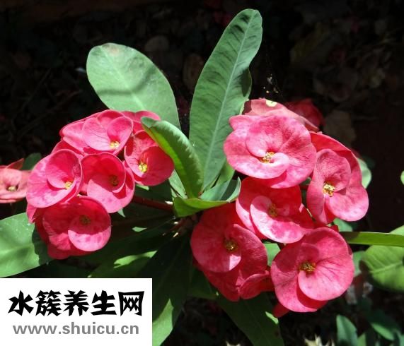宝宝拉稀怎么回事