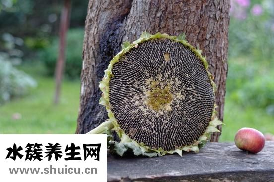 野稻人男衬衫怎么样