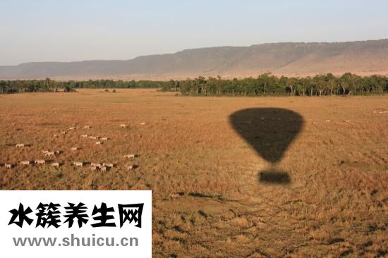 按摩枕怎么样