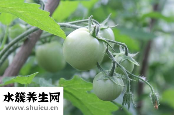 孕妇如何美白皮肤？怀孕期间可多吃一些食物