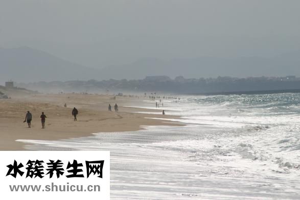怎么样发海螺干