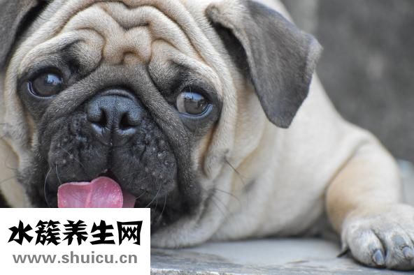 脸发热是怎么回事