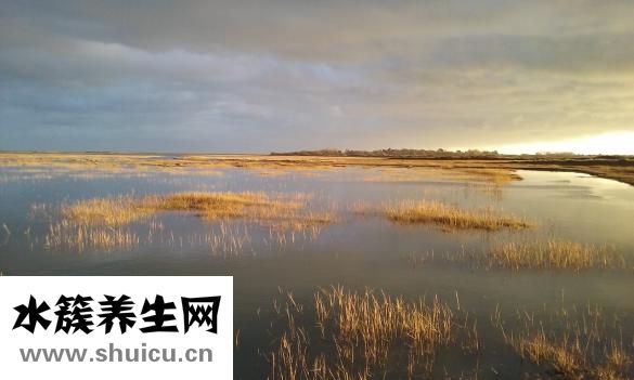 丁曙晴怎么样