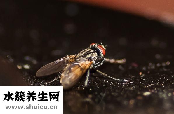 如何安装摄像头
