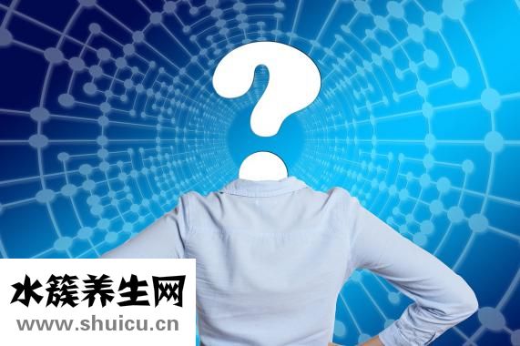 现在鲑鱼怎么样