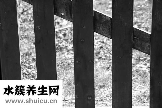 柒加尚品怎么样
