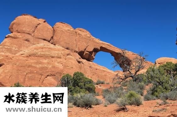 广西种子富挥发性辛凉有助驱风止泻止泻