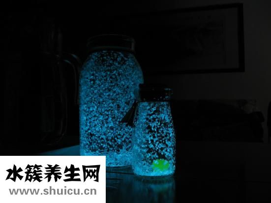 夜狼酒怎么样