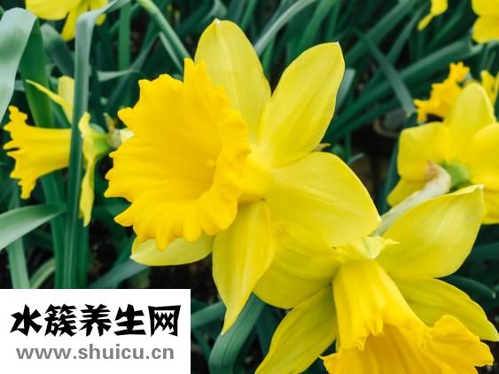 男孩孙钺怎么样