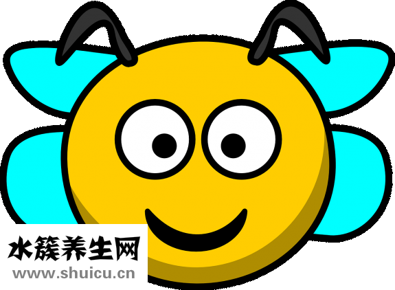 丹尼熊包怎么样
