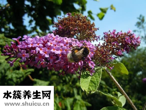 怎么样发海螺干