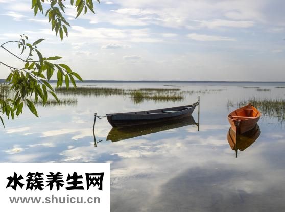 阿梵思怎么样