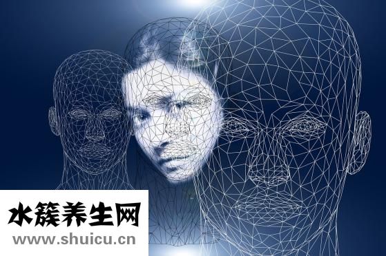 怎么样包三角棕