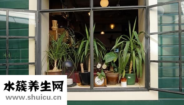 如何看阴宅风水