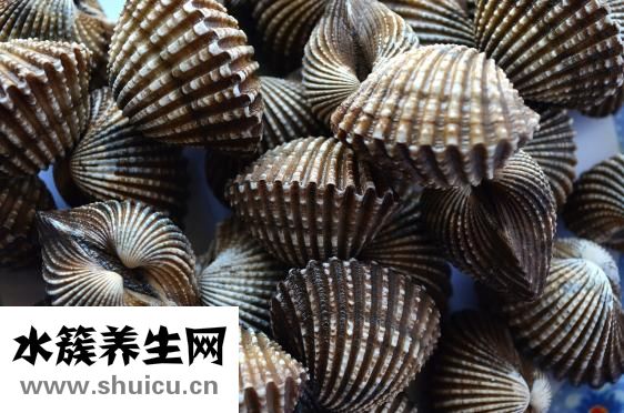 扇贝英语怎么样