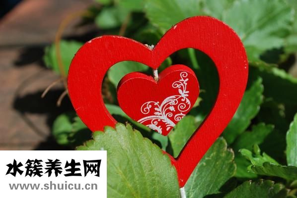 怎么样辨别鸡是不是草鸡？看鸡脖子和鸡腿就知道了！