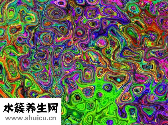 悠莱怎么样