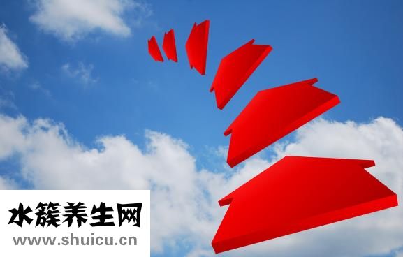 怎么样包三角棕