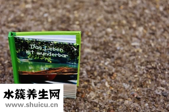 诺本怎么样