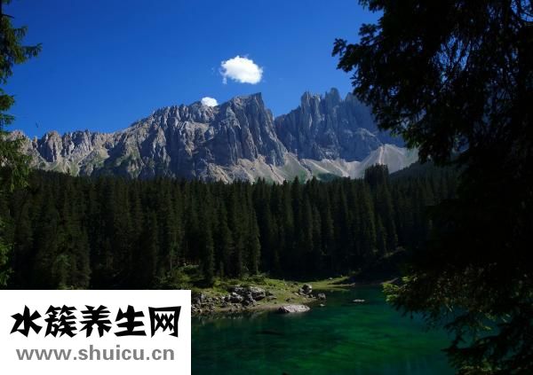 鞍钢怎么样