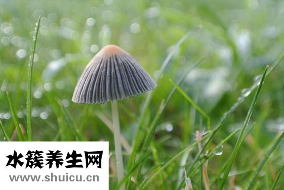 康爱多大药房怎么样