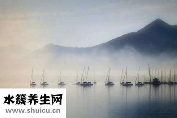 同济张文怎么样