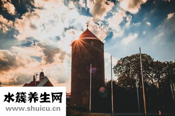 什么叫车震