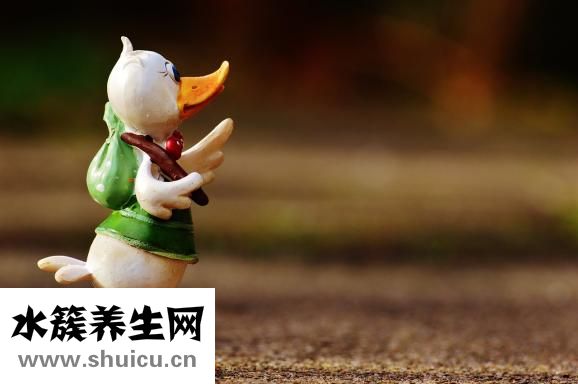 张裕三鞭酒怎么样