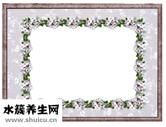 达芙妮雪地靴怎么样