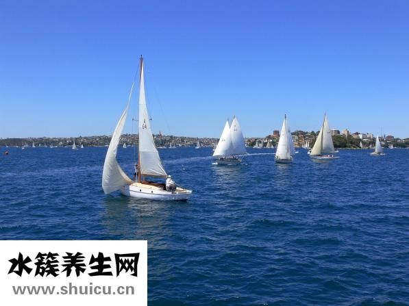 澳洲版爱他美怎么样