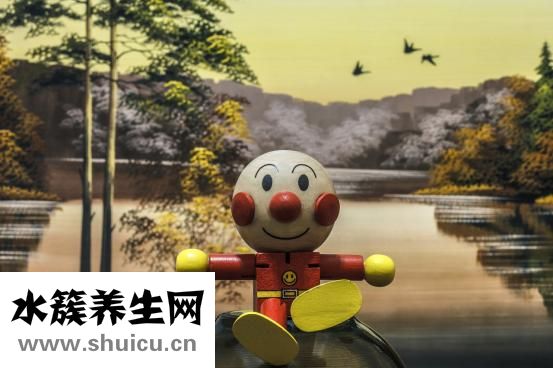 保兰德包怎么样