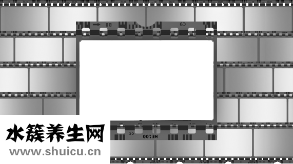 现在鲑鱼怎么样