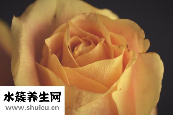 黄煌看病怎么样